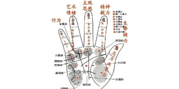 免费拍照看手相算命